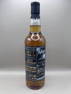 Ardlair Glenallachie 2008 1st fill orloroso butt